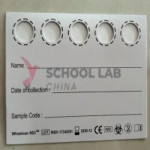 Paper, dry blood spot, box/100